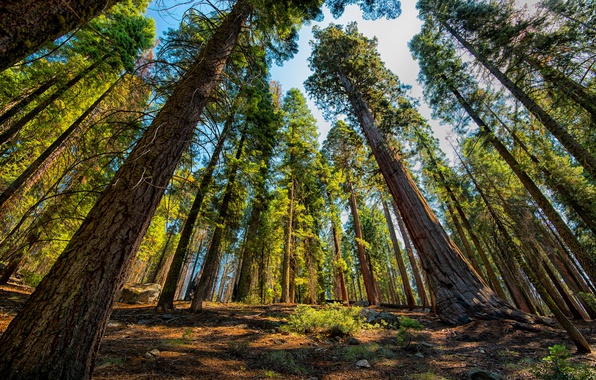 HISTORIAS CURATIVAS: TU ECO ES TU ENEMIGO